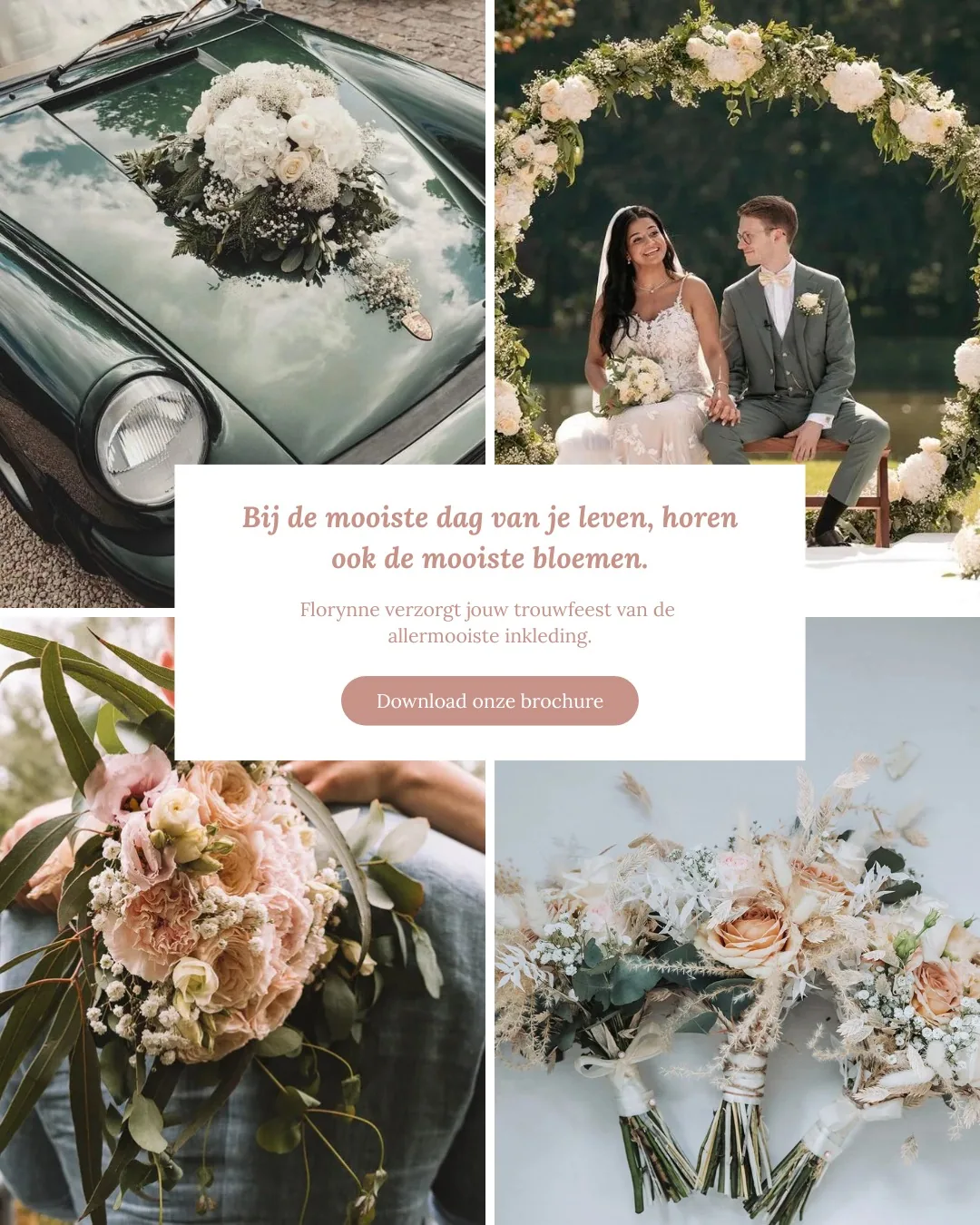 Campagne setup & doelgroeptargeting